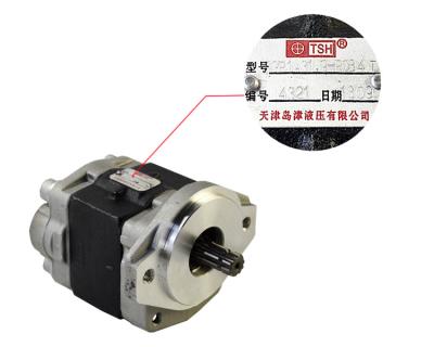 China Building Material Stores Forklift Parts Hydraulic Pump for Toyoto 7F/8F 2Z, SGP1A31.9R084T for sale