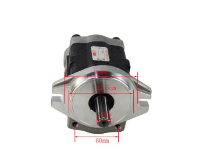 China Building Material Stores Forklift Parts Hydraulic Pump for 3T Lonking, DSG05C20F9H9-R271C for sale