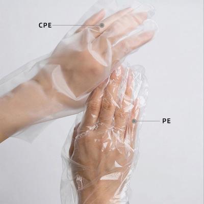 China Food Grade High Quality Food Industry Folded Single Pack Strip PE CPE Disposable Plastic Gloves for sale