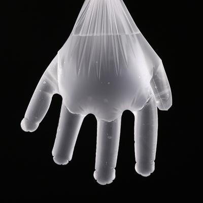 China Food Grade Large Plastic CPE Effect CPE Disposable Sealing Gloves for sale