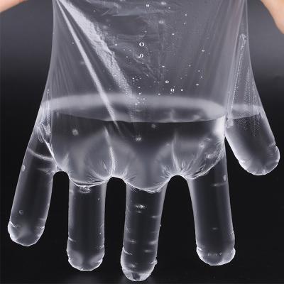 China Food Grade Application CPE PE Plastic Gloves Wide Use Long Life for sale