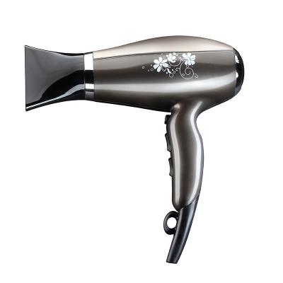 China Professional Salon Hotel Hair Blower Foldable Powerful Electric High Speed ​​Printed Home Hair Dryer for sale