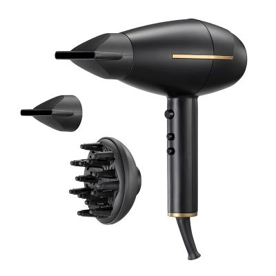 China Professional Ionic Motor Salon AC DC Hair Curler Straightener Hair Dryer Hair Blower Fan for sale