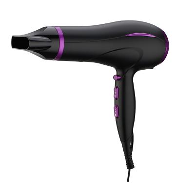 China Professional Ionic Hair Straightener 2000W 22000W 2400W AC Motor DC Motor Salon Hair Dryer Hair Blower for sale