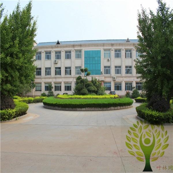 Verified China supplier - Weifang Yelintong Board Co., Ltd.