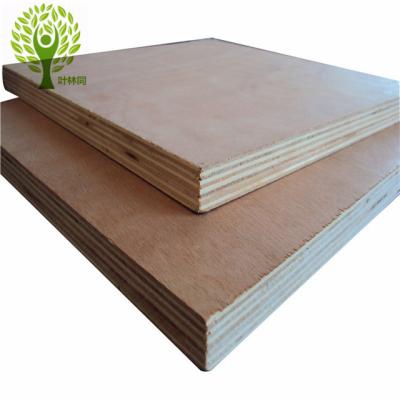 China Weifang Yelintong Traditional Commercial Plywood for Construction for sale