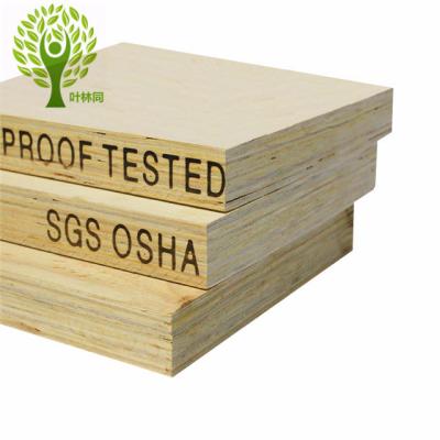 China Building Material Melamine Glue LVL Scaffold Wood Plank Used For Building Construction for sale