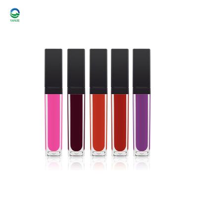 China Wholesale Waterproof Liquid Lipstick Customize Private Label Lipstick Container for sale