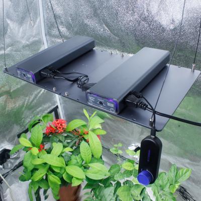 China Button Dimming Welit Seed Starting, Flower, Veg 300W Greenhouse Grow Light Led For Indoor Plants Growth for sale