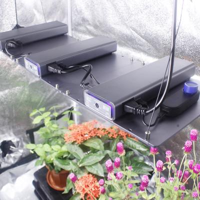 China Knob Dimming High Efficient Promotion Full Spectrum Control Led Grow Light Hydroponic for sale