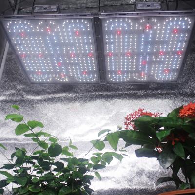 China Button Dimming Full Spectrum 500W Plant Led Grow Light For Indoor Plants Seedlings Seed Statement for sale