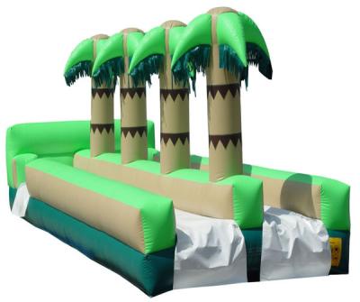 China inflatable tropical slide ,inflatable water slide,inflatable pool slide for sale