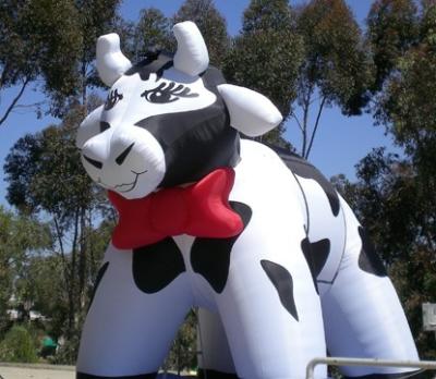 China CE outdoor lovely inflatable cow animal model for sale for sale