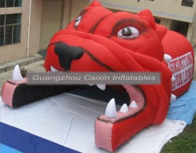 China Portable Inflatable Football Tunnel With Helmet,Inflatable Football Helmet Tunnel For Sale for sale