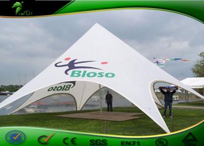 China Durable Garden Sing Pole Logo Printed Star Shade Tent for Exhibition for sale