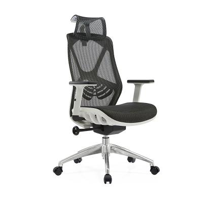 China Factory direct sales chair for gaming mesh office chair home office chair for the sduty room for sale