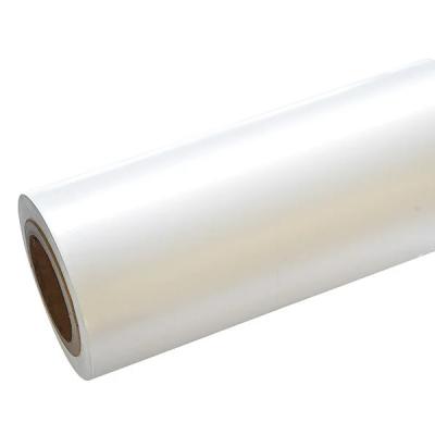 China Metallized Film for Multiple Extrusion Processing Type in Transparent Clear Film for sale