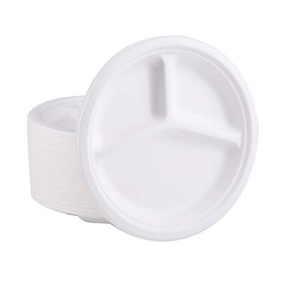 China Simple Modern Good Quality Biodegradable Paper Plate Composable 9 Inch Sugar Cane Bagasse Disposable Take Out Dishes For Party for sale