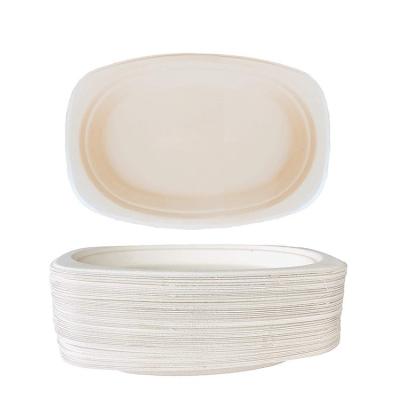 China Simple Modern Round 9 Inch Tableware Sugar Cane Bagasse Paper Pulp Disposable Party Plate Compostable 100% Biodegradable Dishes for sale