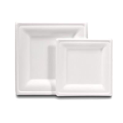 China Simple Modern Customizable Eco Friendly Compostable Sugarcane Bagasse Disposable Dish for sale