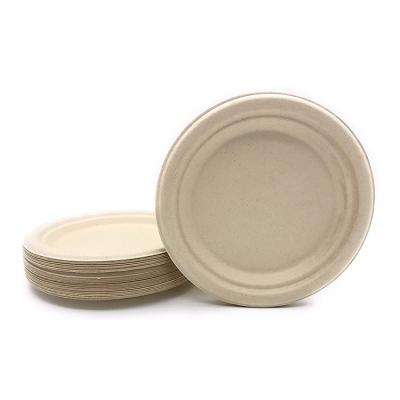 China Simple Modern Eco Friendly Compostable Bagasse Sugar Cane Dish For Fruit And Cake for sale