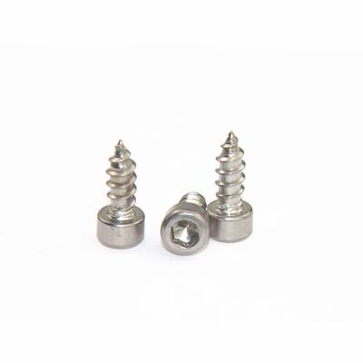 China Stainless Steel Hex Socket M6 Stainless Steel Tapping Screw for sale