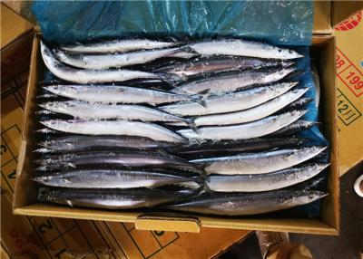 China 90g 100g Whole Round Seafrozen BQF Pacific Saury Fish for sale