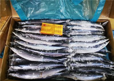 Cina Luccio sauro pacifico fresco ad alta percentuale proteica di 70g 90g #3 per il pesce dell'esca in vendita