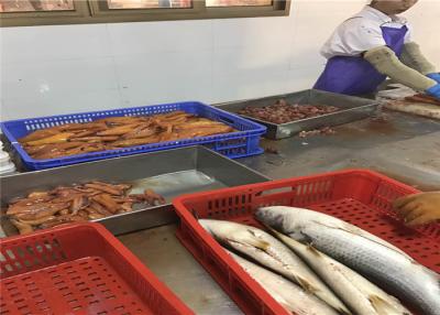 Cina Al di sotto di 18 gradi BQF sventrato 100G 200G uovo di pesce congelate della muggine in vendita