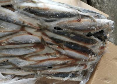 China Decapterus Muroaji 76g 77g ringsum Scad-gefrorenen Fischen-Köder zu verkaufen