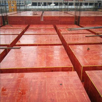 China Hot sale 18mm plywood construction formwork building gauges plywood faces factory price per film hot red black brown for sale