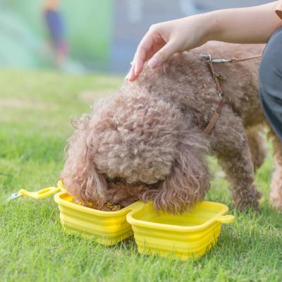 China 2021 New Design Viable Outdoor Travel Portable Pet Food Container Water Feeder Silicone Collapsible Double Bowls For Dogs Cats for sale