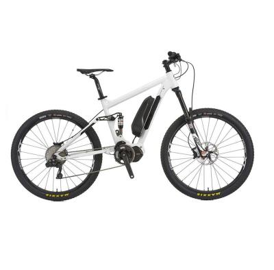 China OEM/ODM City Steel Bike/Mountain Bike/E Bike for sale