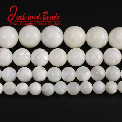 China DIY Jewelry Making Shell Beads Natural White Horseshoe Snail Beads For Jewelry Making for sale