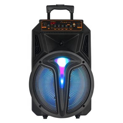 China PORTABLE Wireless Microphone Power Trolley Speaker AILIANG Large Speaker KOLAV-S1203 for sale