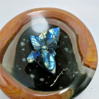 China China Wholesale Cardboard Lovely Hand Carved Crystal Butterfly Ornaments Natural Labradorite Carvings Carved Labradorite For Sale for sale