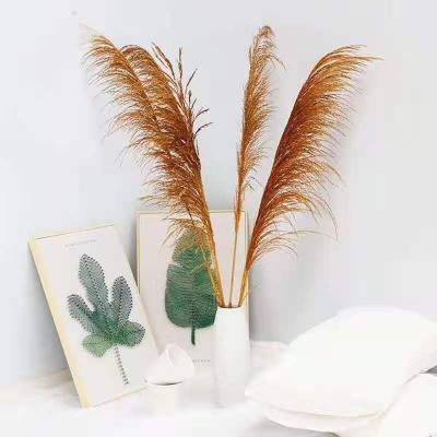 China 2021 Popular Hot Selling Pampas Grass Natural Dry Pampas Grass Real Pampas Grass For Home Decoration for sale