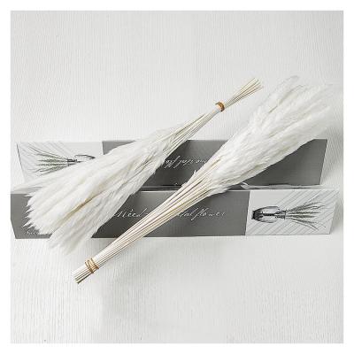 China Hot Selling Real Pampas Grass Natural Popular Natural Amazon Small Dry Pampas Grass For Home Decoration for sale