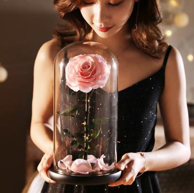 China 100% Natural Latest Preserved Decorative Rose Flowers Glass Dome For Wedding for sale