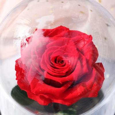 China Garden.hotel.home decoration preserved flowers Rose Flower In Glass Dome everlasting red Valentine Gift for girlfriend for sale