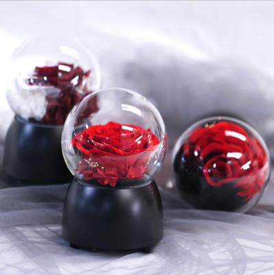 China True Preserved Rose 2021 Most Popular Flower Everlasting Flower Valentine Day Gift Preserved Rose In Glass Music Box for sale