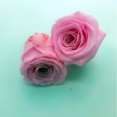 China Yunnan factory supply 5-6cm high quality real preserved rose heads of rose for sale