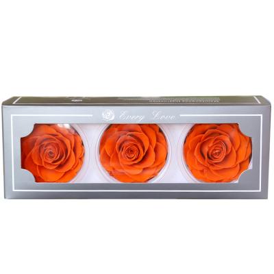 China Real Romantic Preserved Rose Whole Eternal Rose A Grade 7-8cm Stabilized Eternal Rose Preserved Flower For Home Decoration Eternal Rose Preserved for sale