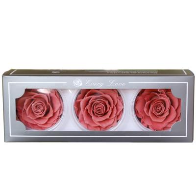 China Wholesale Premium 7-8 cm Long Lasting Everlasting Natural Real Rose Preserved Roses Everlasting Rose Heads for sale