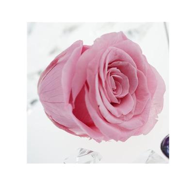 China Hot Sale Mother's Day Eco-friendly Gift Preserved Rose Artificial Flower Good Quality Preserved Roses Decorative Flowers for sale