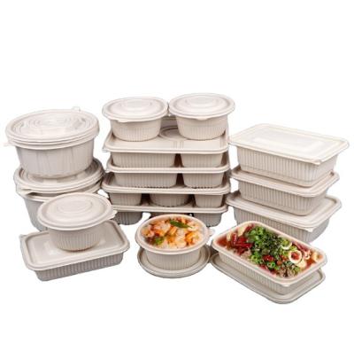 China Minimalist Disposable Degradable Bagasse Dishes And Bowls For Party Camping for sale