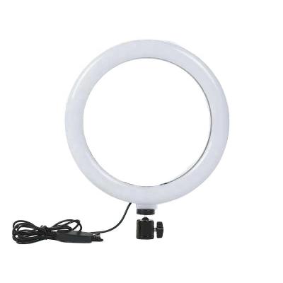 China 10 Inch 26cm 8W Dimmable LED Ring Light With Tripod Stand Phone Holder For 3 Ins Photography Video Makeup Youtube Tiktok for sale