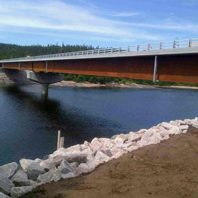 China De multi van de de Brug Enige Steeg van het Spanwijdtestaal Voetbrug van de het StaalKokerbalk Te koop