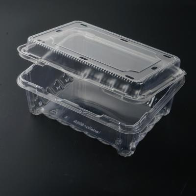 China Transparent fruit packaging wholesale PET blister clamshell container for fruit for sale