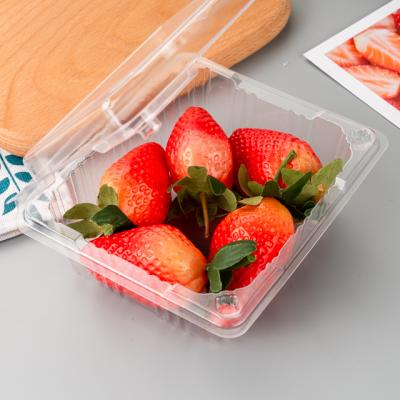 China Fruit Packaging Wholesale Disposable Clear PET Plastic Fruit Clamshell Container for sale